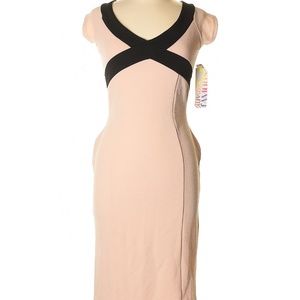 NWT - Curvy and Feminine Blush Dress